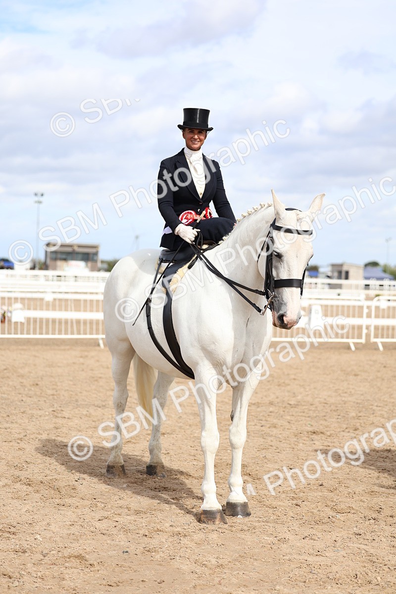 SBM_03268 - Class 22 - SSA Equitation (any age)