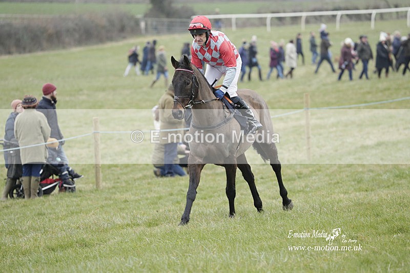 PtP 040323 448 - Duke of Beauforts Hunt Point-to-Point Didmarton 04/03/23