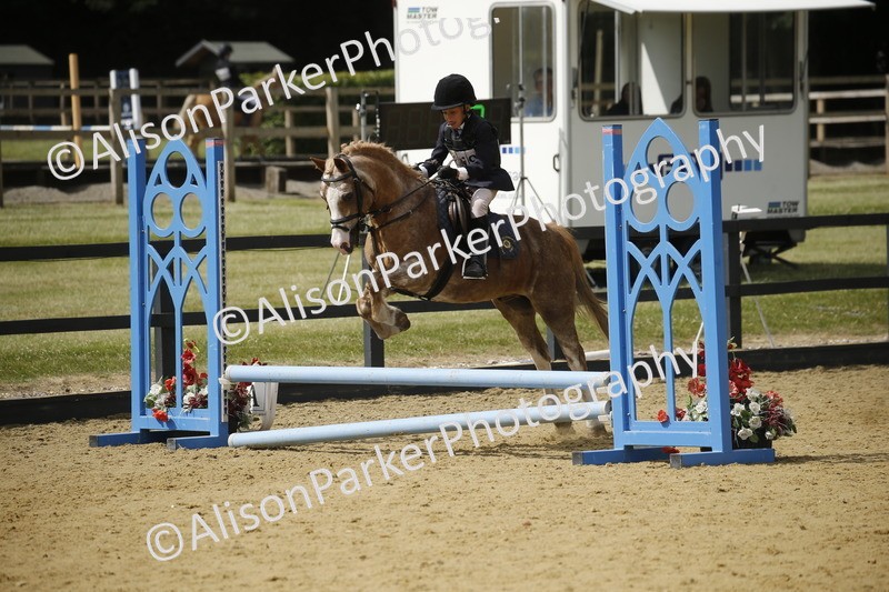 20250622-3805 - 50cm