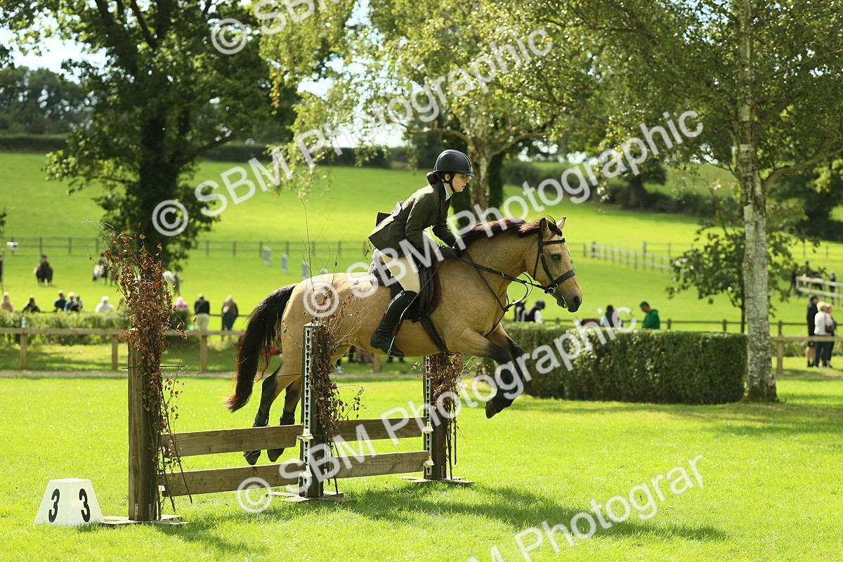 SBM_42854 - S30 - M&M Working hunter Pony