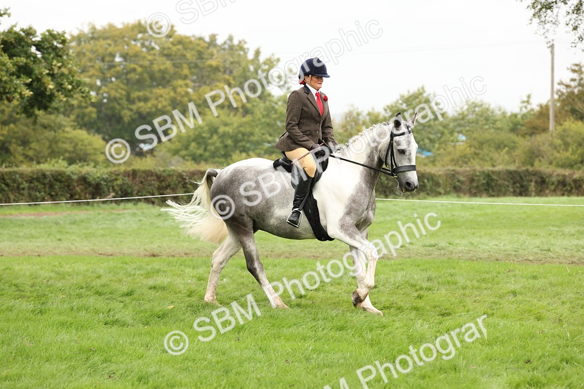 SBM_69885 - S68 - Other Coloured Horse Ridden