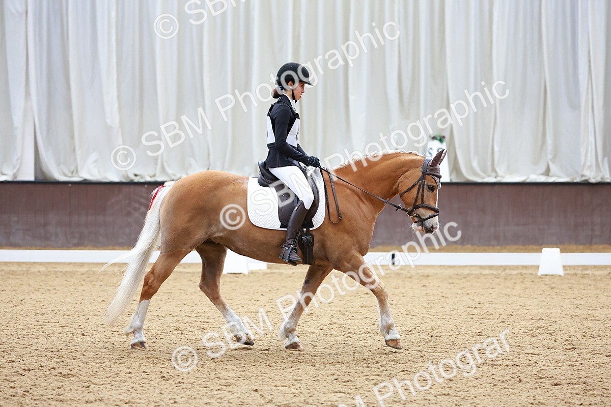 SBM_000520 - Class 4 - CT Prelim 3-70cm