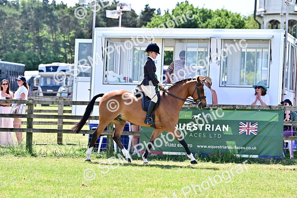 SBM_17526 - Class 95-97 - BSPS LHS Performance Ponies
