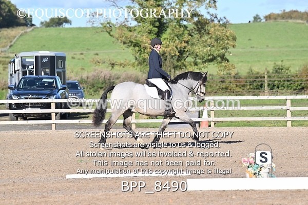 BPP_8490 - SHORT ARENA INTRO 1