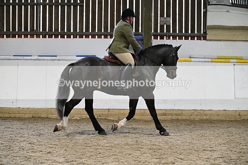 WJ7_3802 - Class 17 Ridden Cob