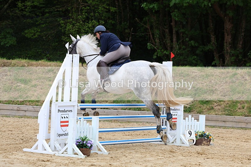 3E7A6086 - Class 4: Senior British Novice/90cm open