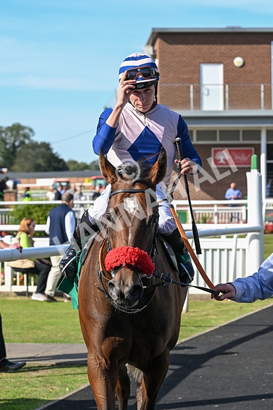 160924-Race 3-Moostar-2800 - Race 3