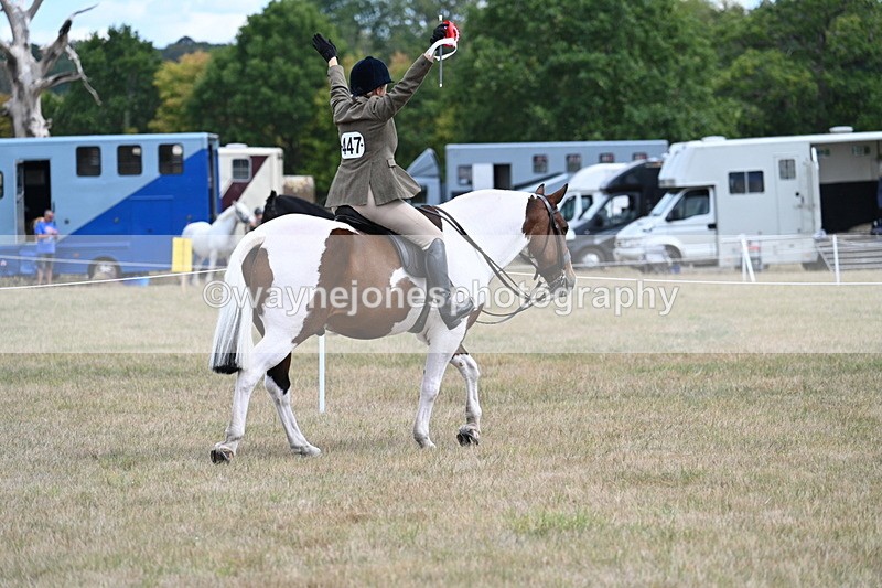 WJ7_5693 - Class 12 Ridden Cob