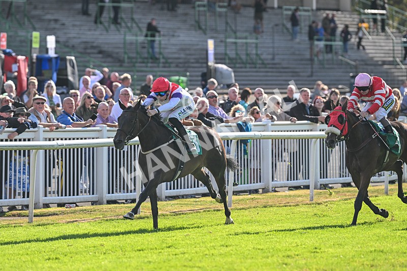 290825-Race 7-Crocus Time-9267 - Race 7