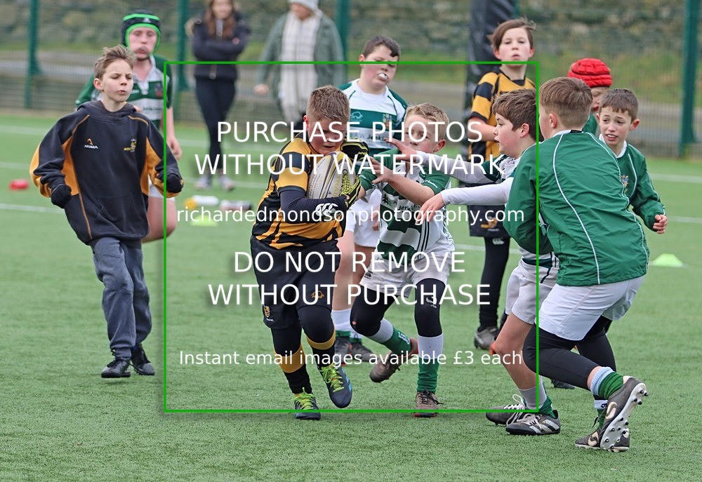 IMG_8719 - Kendal Rugby Under 11 Hornets vs Penrith (22/1/23)