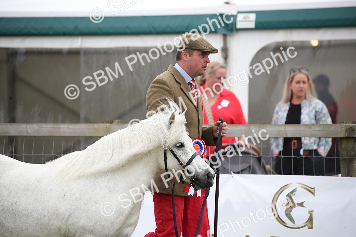 SBM_09710 - Ch 50 - Price Family Supreme In Hand