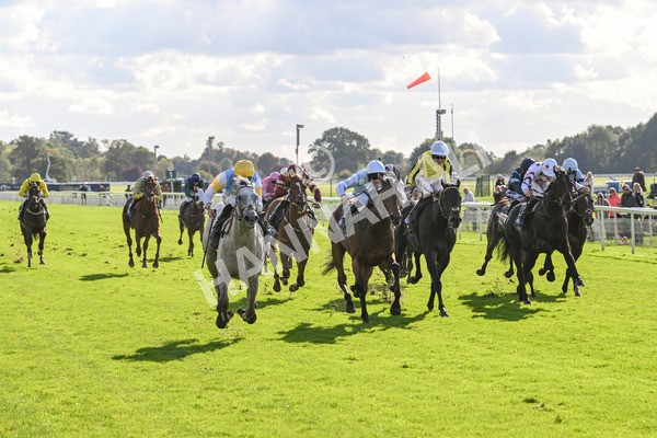 111024-Race 2-Mirabeau-1481 - Race 2 2.05pm British EBF £100,000 Final