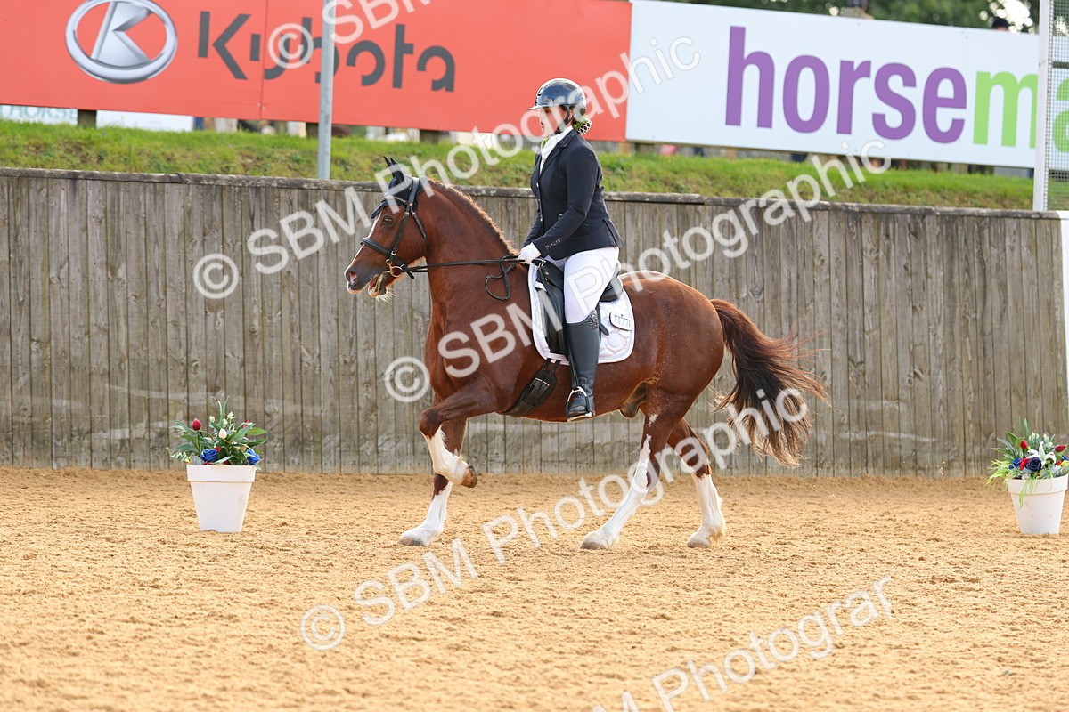 SBM_51216 - D12 - Small Tour Championship - Prelim 18
