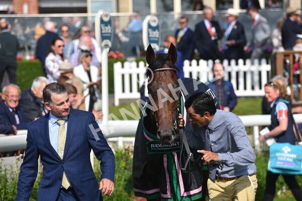 yr18082021r4-184 - Race 4 3.35pm Juddmonte International Stakes (British Champion Series race)