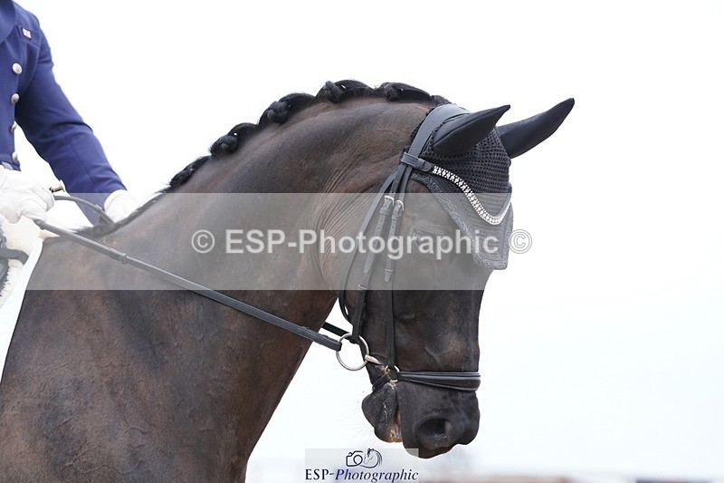 250403-154558-03164 - 023-Davy.Harvey-Diamond.Blue