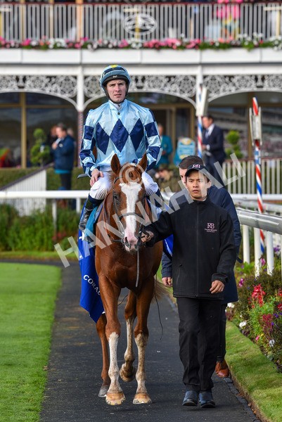 141023-Race 2-Whiskey Pete-0805 - Race 2 1.50pm Play Coral 'Racing-Super-Series' For Free Nursery Handicap