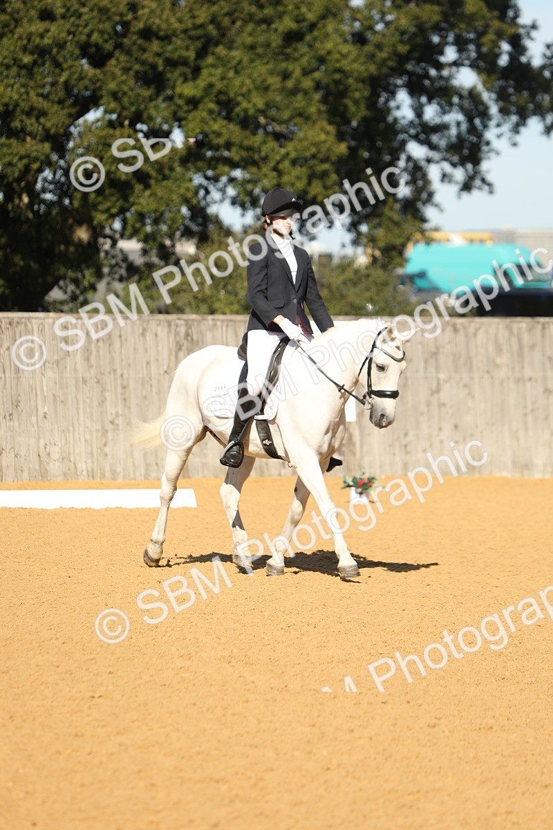 SBM_38008 - D21 - Junior Championship - Intro A