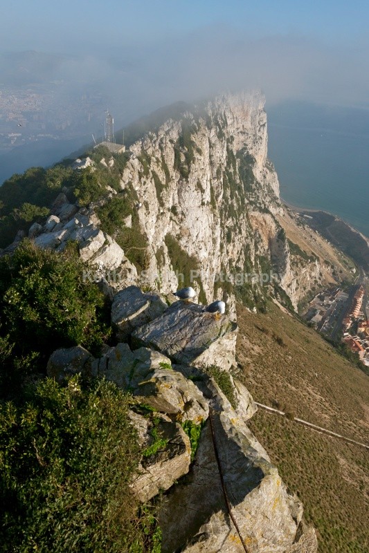 YR6M8494  (RM) - Worldwide