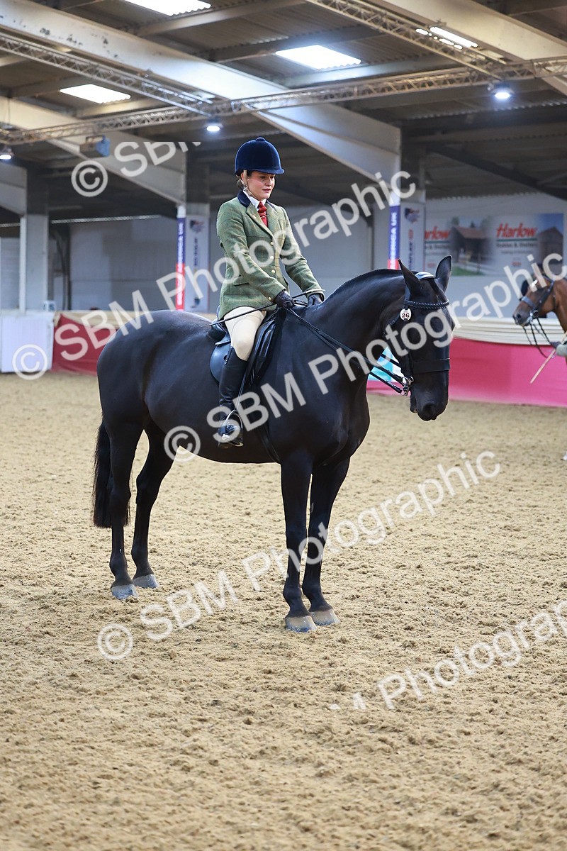 SBM_07679 - Class 101 - HOYS Veteran Qualifier - Ridden Diamond