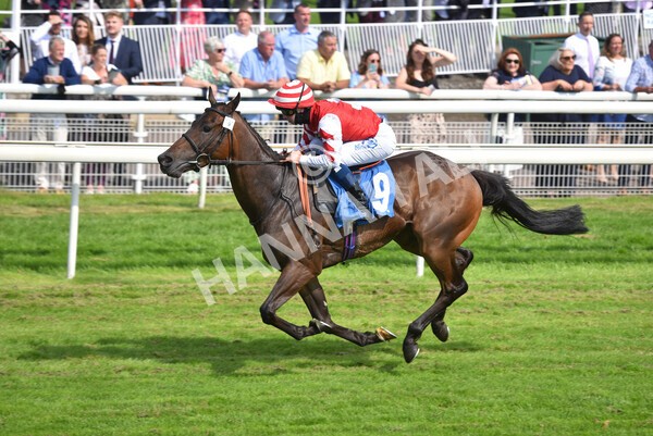 yr09072021r4-23 - Race 4 3.50pm William Hill Plus Bet Club Stakes