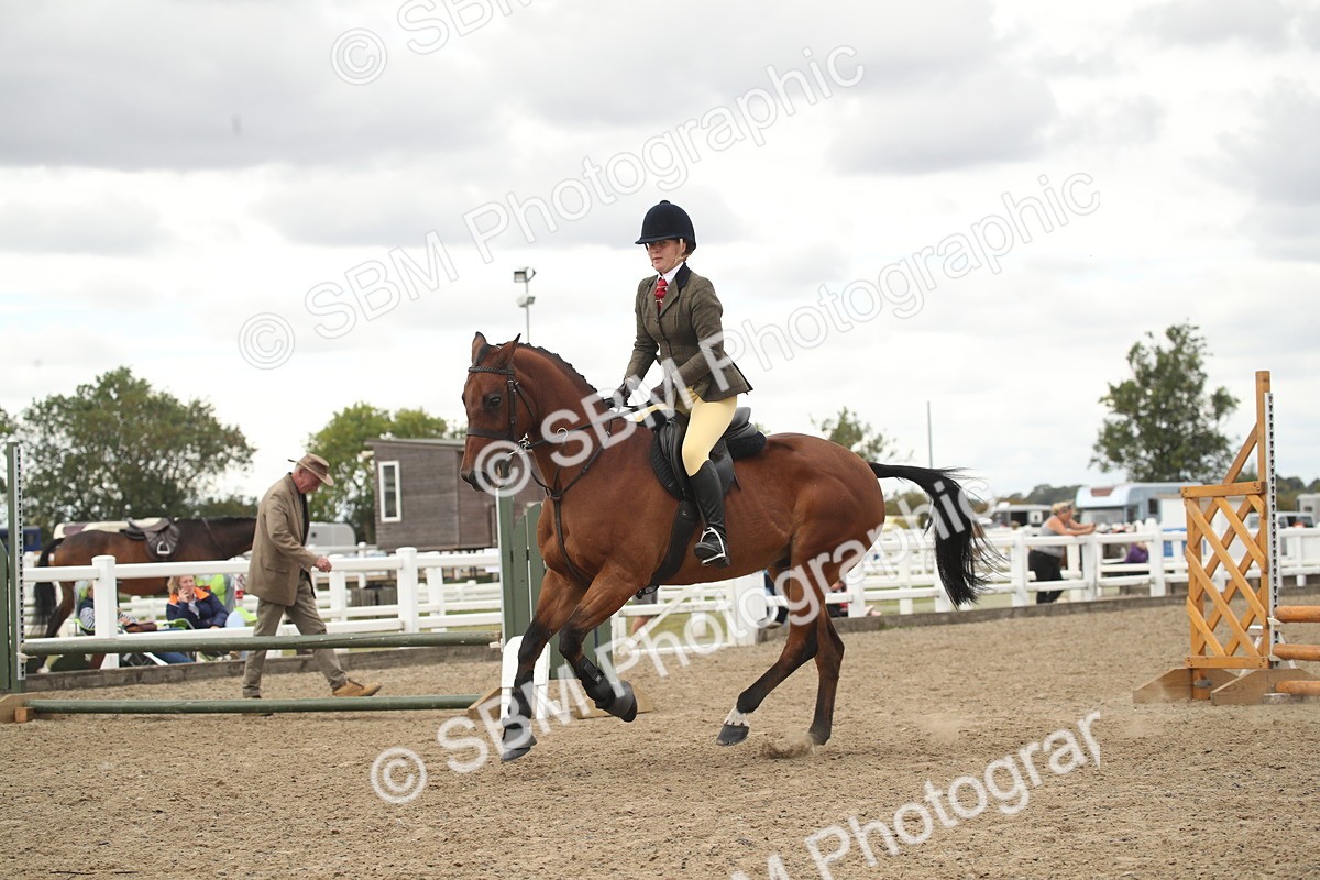 SBM_16651 - Class 507a - Working Veteran - 60cm (15-19)