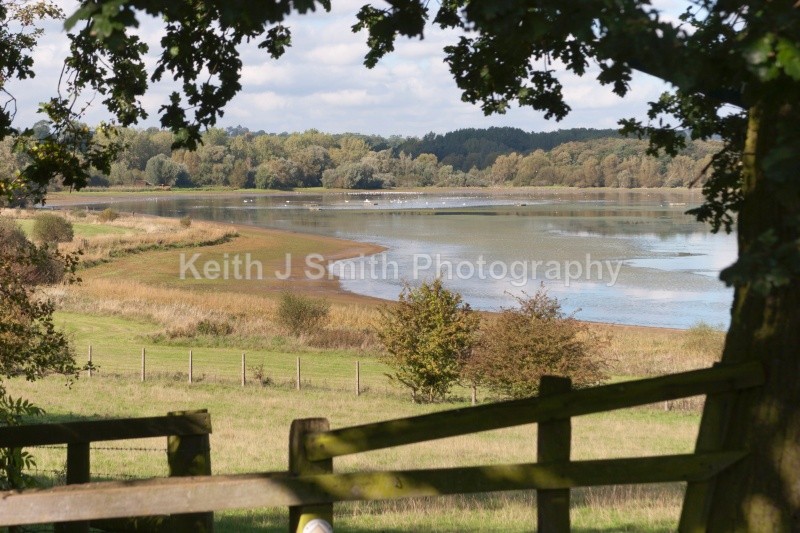 IMG_6386 - United Kindom