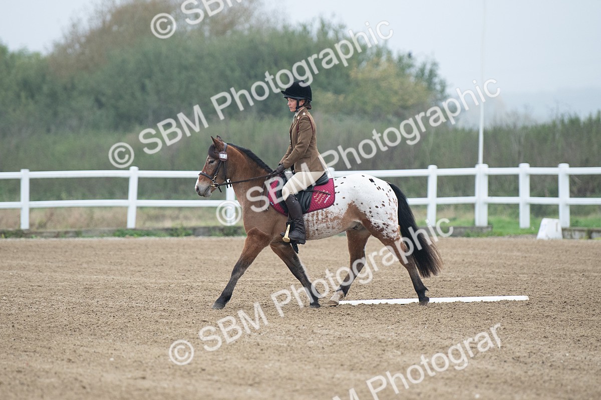 SBM_003402 - Introductory Test 3
