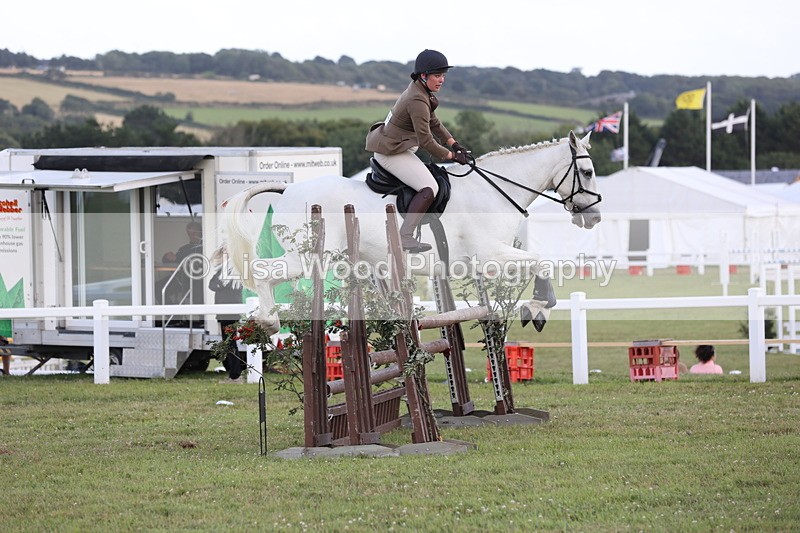 JPP_3625 - Class 24: Open Working Hunter