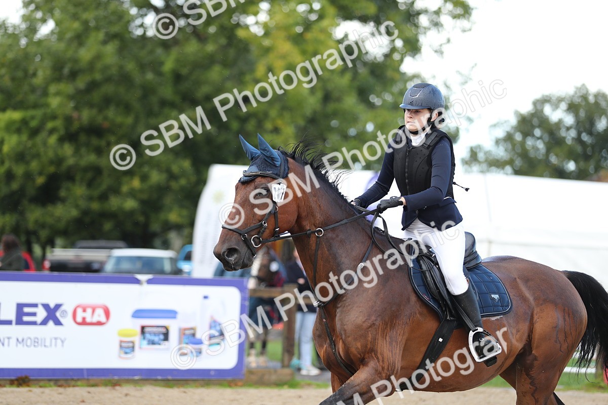 SBM_37261 - J20 - Junior Horse 50cm Championship