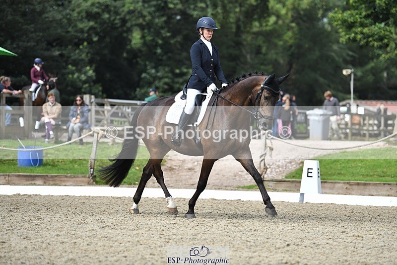 230812-104441-03458 - Cls 6 Novice Silver 10.30 to 11.55 break