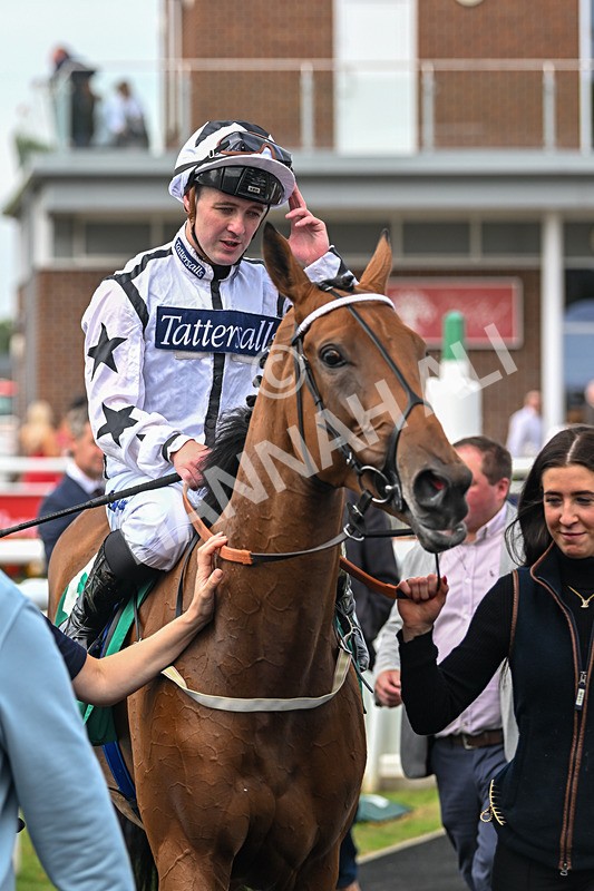 060925-Race 1-Dunkeld Dreamer-4258 - Race 1