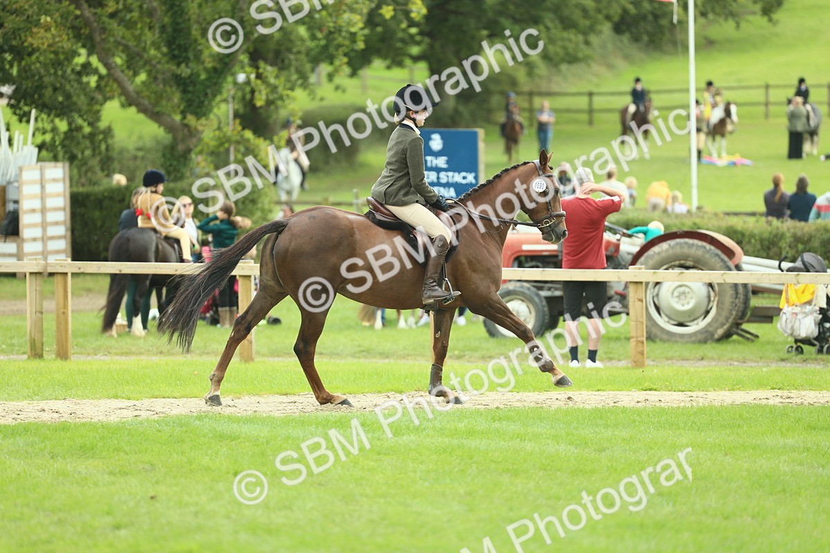 SBM_47952 - S32 - Novice & Newcomers Working Hunter