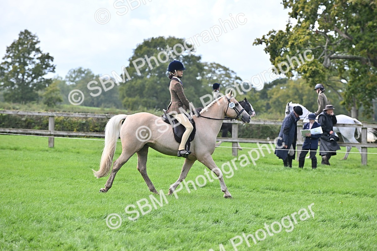 SBM_44495 - S13 - Pony Club Pony