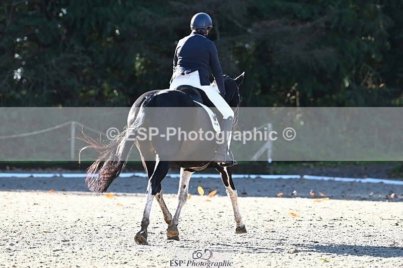 231110-104505-00182 - Cls 2 Prelim 17(a)Q