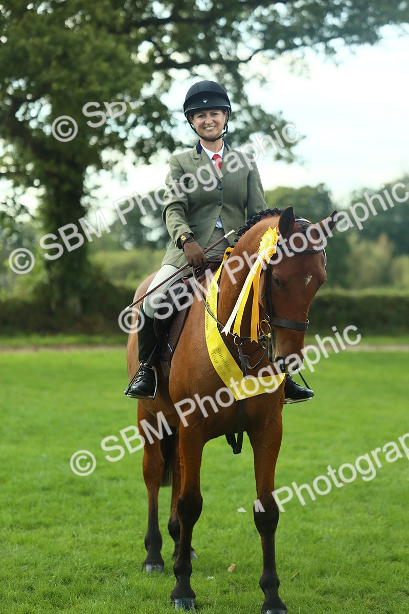 SBM_52212 - S33 - Working Hunter & Working Show Horse