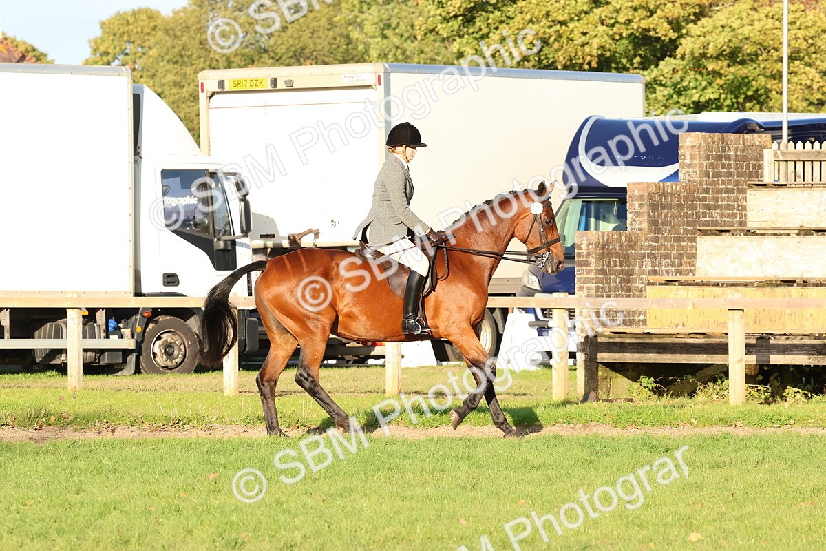 SBM_53044 - S29 - Mature Veteran Ridden