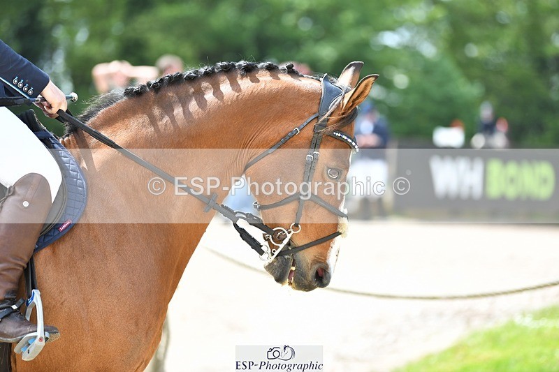 230514-131021-11155 - Cls 34b Snr 1.10m O-pen Final