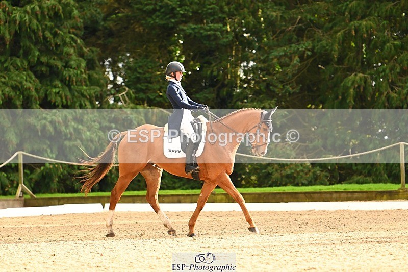 231021-153801-20913 - 260-LIGHTNIN.CONDUCTOR-Angus.Stewart-DR