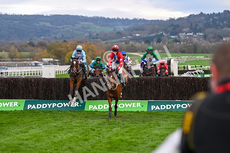 161124-Race 4-Editeur Du Gite-0384 - Race 4