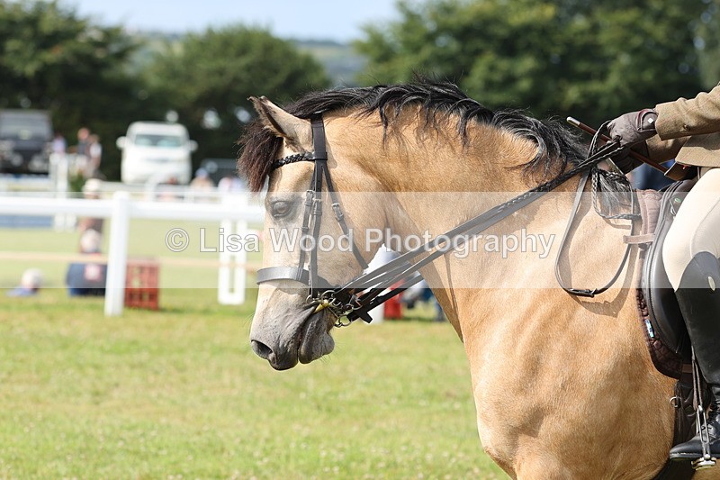 JPP_0811 - Class 16: Cornish Combination Young Rider