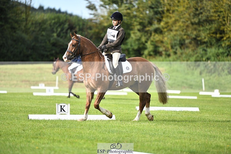 230826-091101-15040 - Sections C & D 9 to 10am