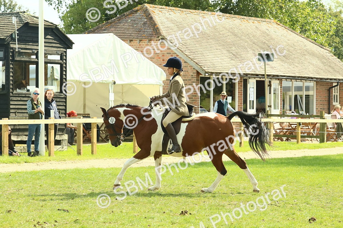 SBM_67504 - S56 - Coloured Pony Ridden