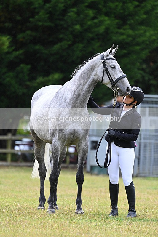 WJ7_6301 - Class 4a Prettiest Mare over 14hh