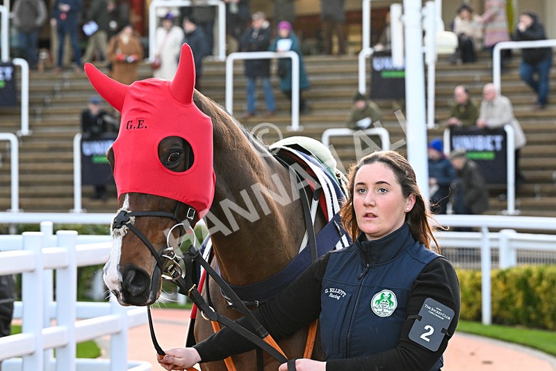 121225-Race 6-Favori De Champdou-6315 - Race 6