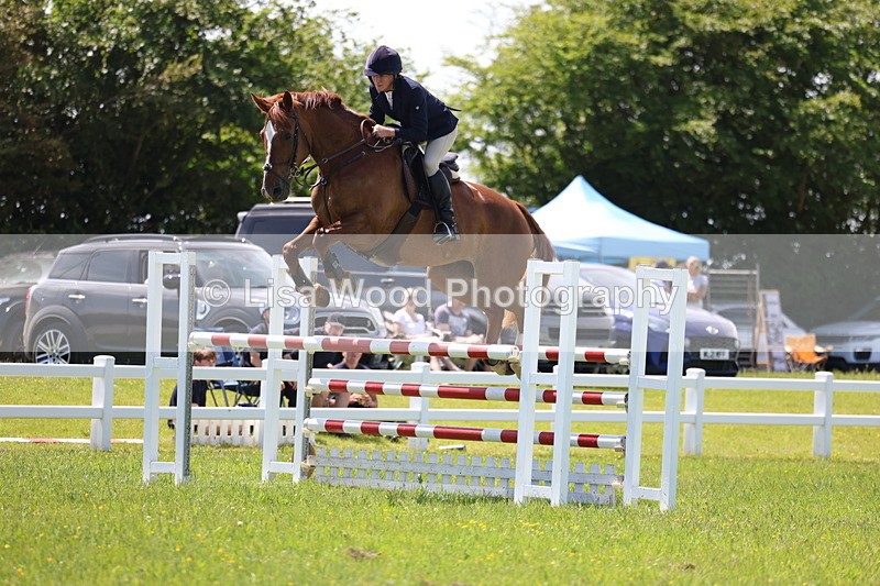 3E7A1272 - Class 12: Senior Foxhunter/1.20 open