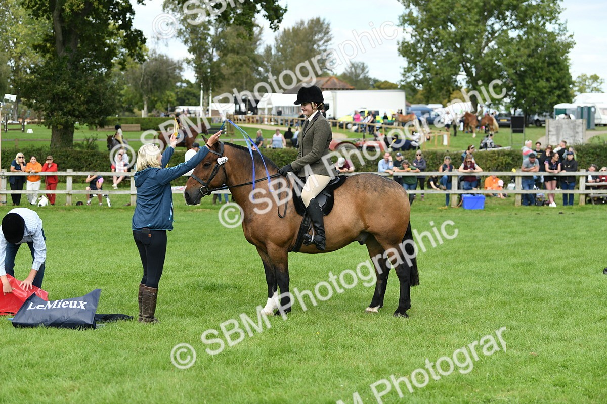 SBM_46859 - S12 - Family Horse & Pony
