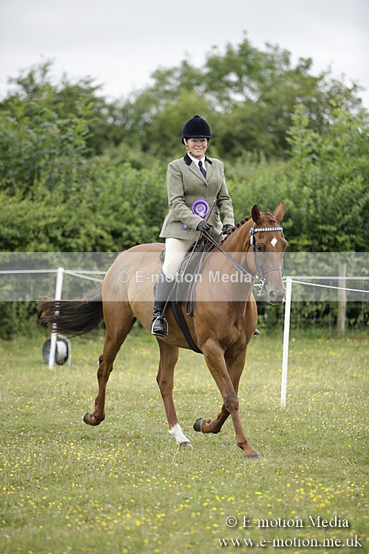 BVR160717-1070 - Ring 1 BVRC Show 16/07/17