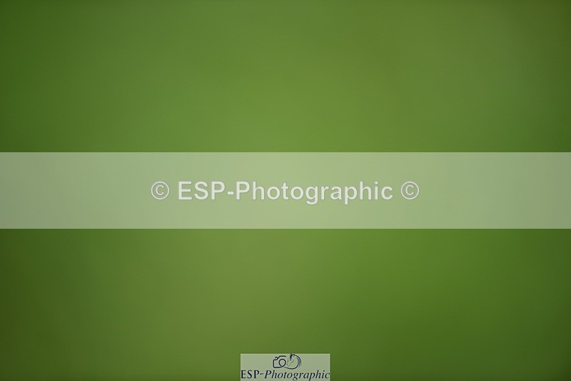 240605-125618-00343 - Cls 5 Elementary 43