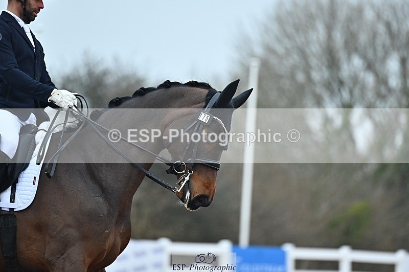 250214-144454-02451 - 175-Dannie.Morgan-Vive.La.Reinne.VH