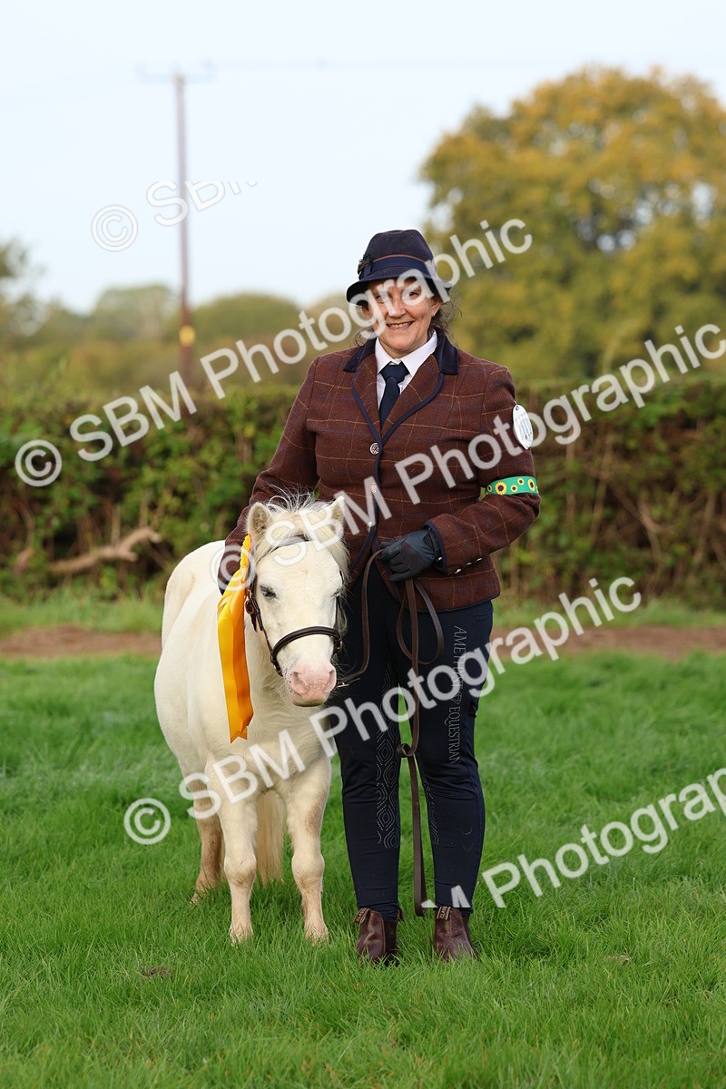 SBM_54912 - S39 - Starters In Hand Showing